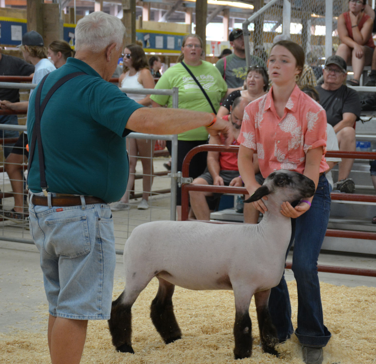 JUDGING DAY